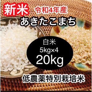 清流育ち 山里米 玄米30kg(令和3年産) - 米/穀物