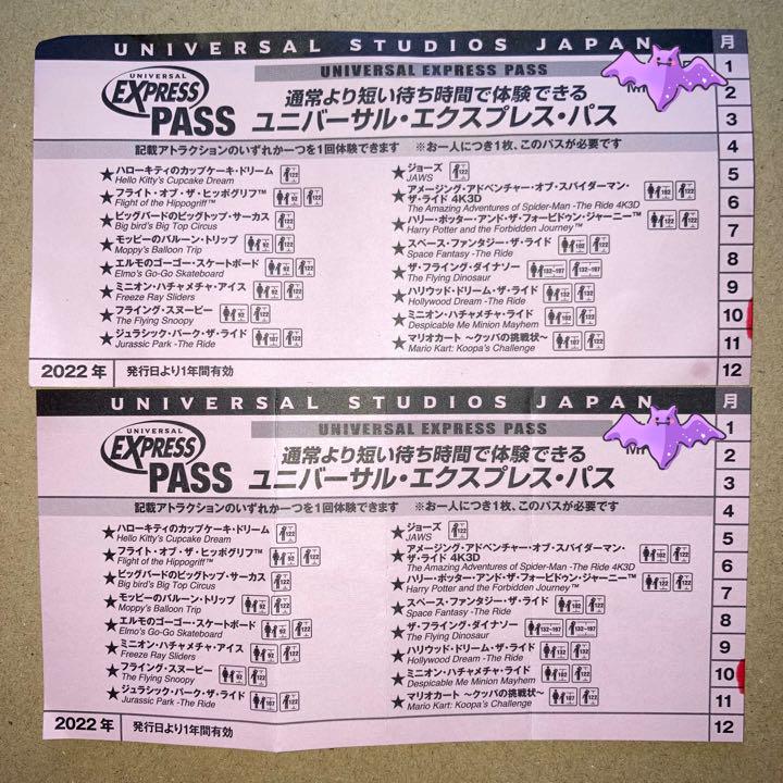 ≪超目玉☆12月≫ 《2枚セット》ニンテンドーエリア確約 USJ