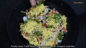 sev puri instruction 21